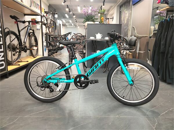 Xe đạp trẻ em Giant XTC 20-P 2024***